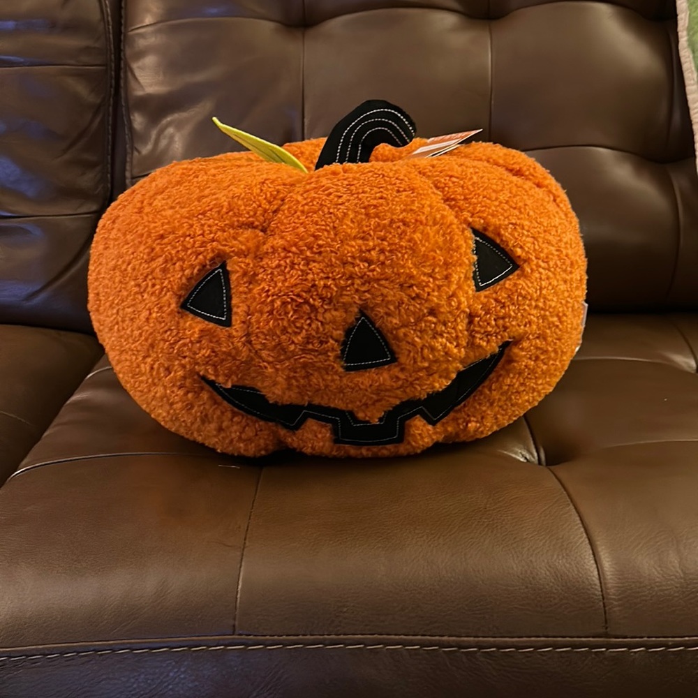 Pumpkin pillow NWT